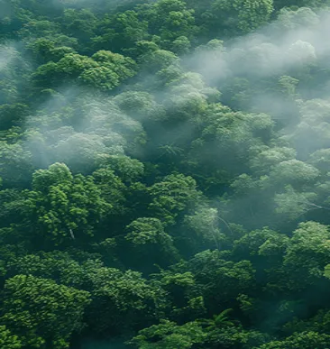 Environnement